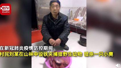 非法狩猎罪最新立案标准详解